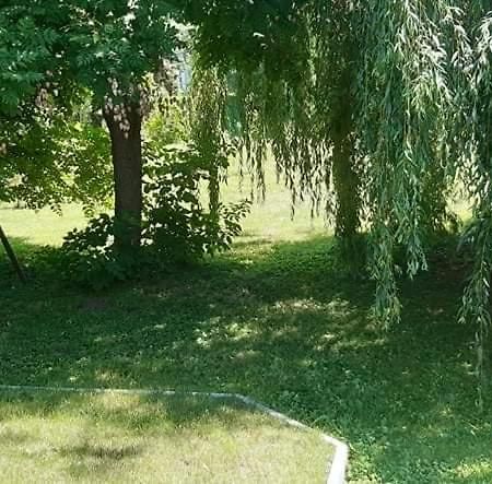 Fuzfa Apartmanhaz 타마시 외부 사진